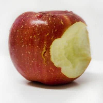Tip 5: Voeg harder/taaier voedsel toe aan het dieet.