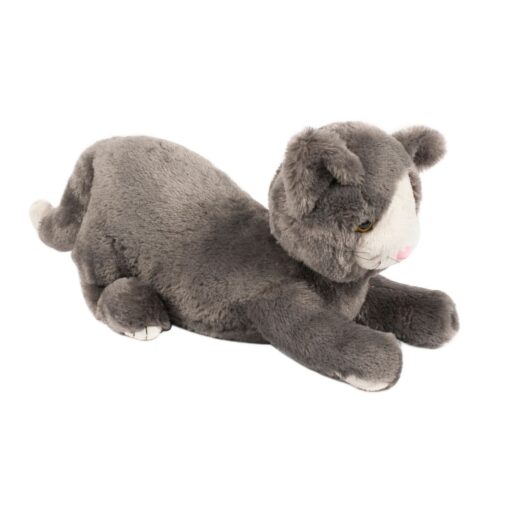 verzwaarde kat